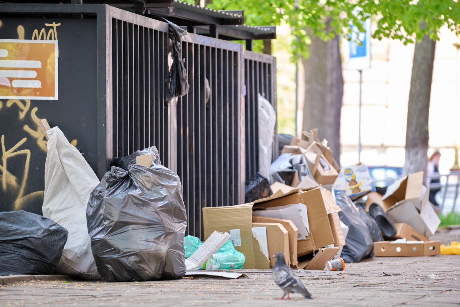 garbage-bins-disposal-full-with-litter-scattered-a-2026-01-07-06-29-12-utc