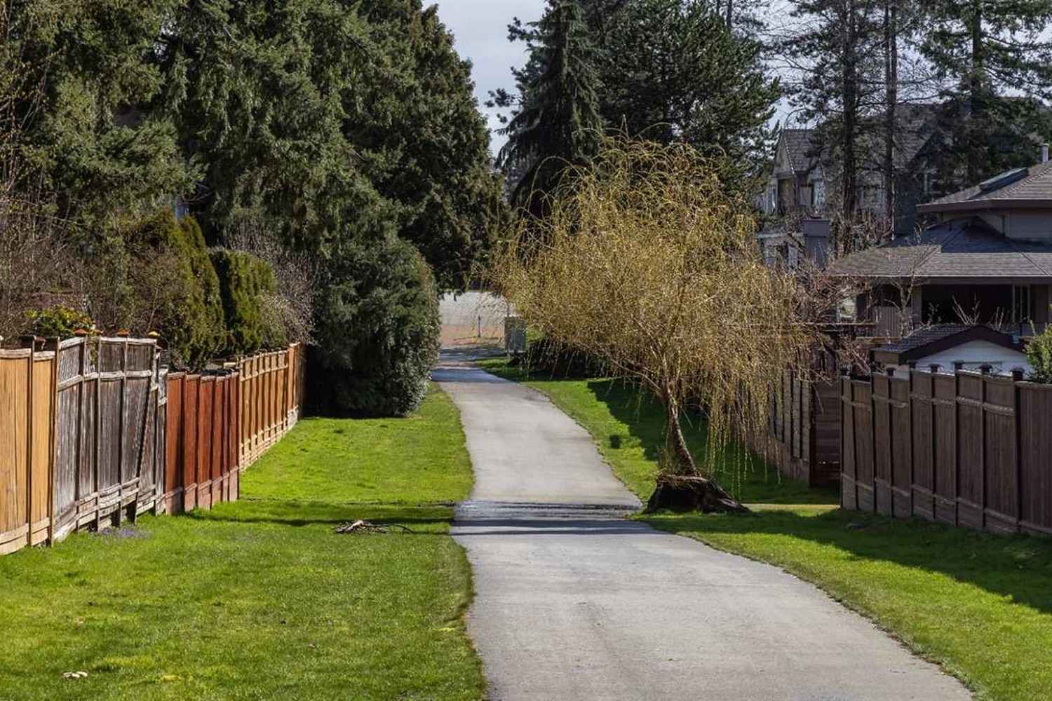 scenic-path-in-a-residential-residential-neighborh-2026-03-20-04-36-23-utc