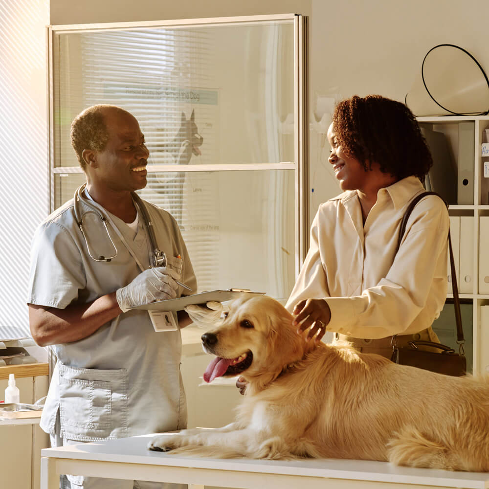 Why Regular Health Checkups Matter for Your Pet