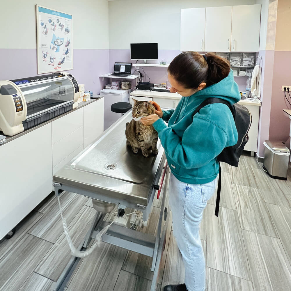 Keeping Senior Pets Healthy: Expert Veterinary Tips