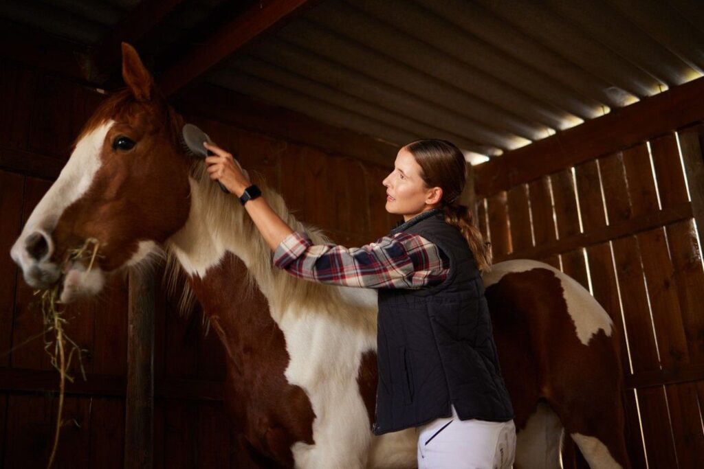 Horse Care Tips