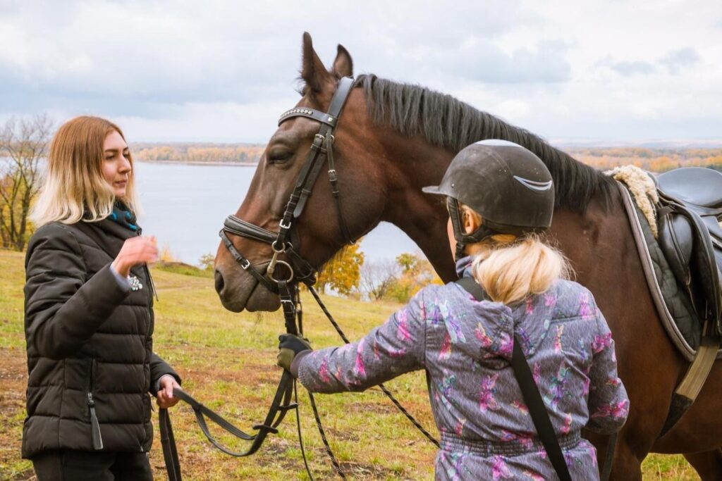 Beginner Horse Riding