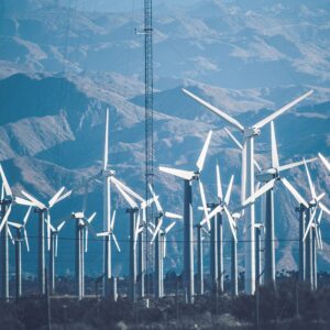 Sustainable Business Practices
