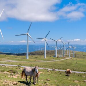 The Future Of Renewable Energy