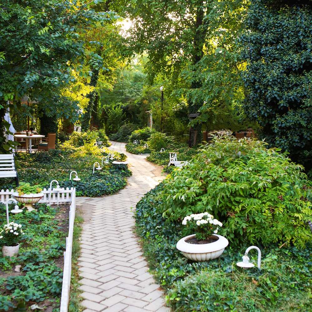 Essential Tips For Modern Landscapes