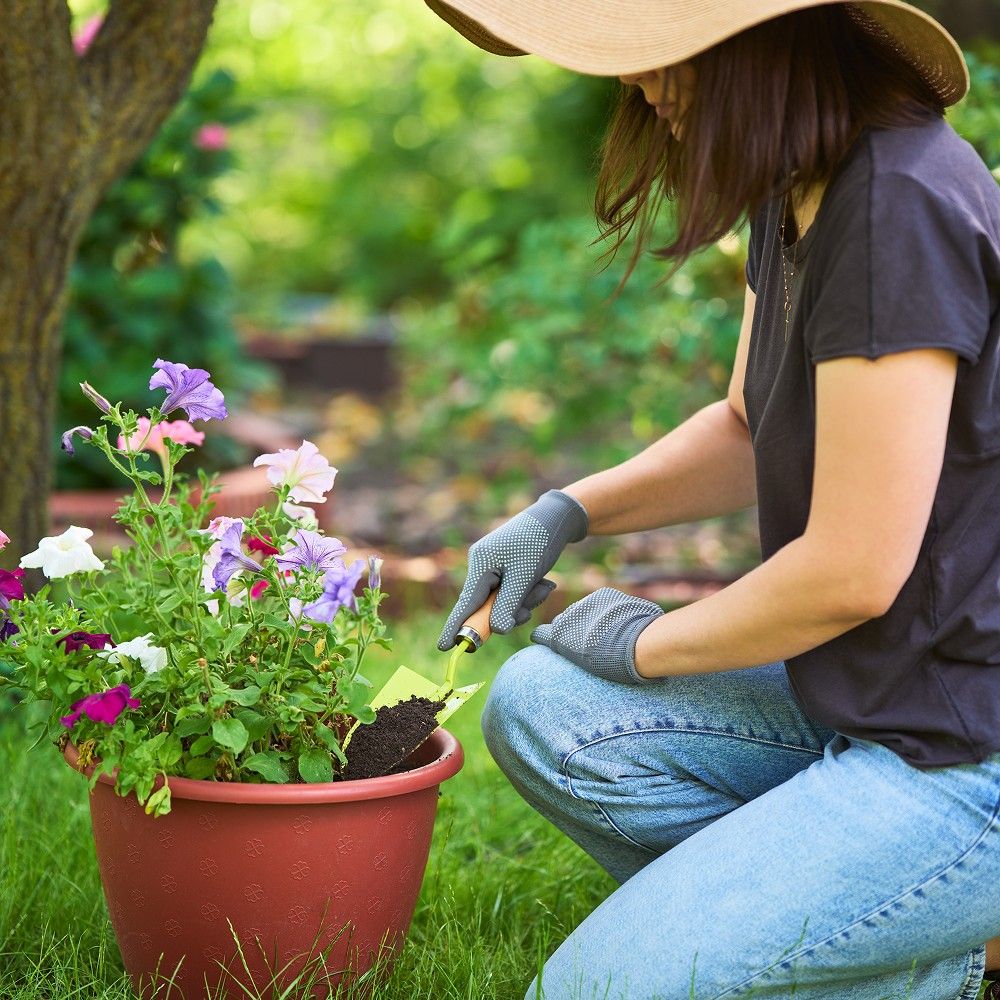 Essential Tips For Healthy Gardens