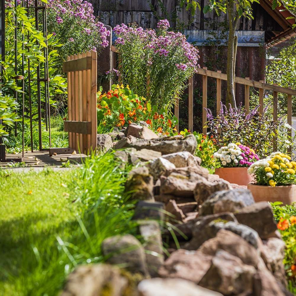Essential Tips For Better Landscaping