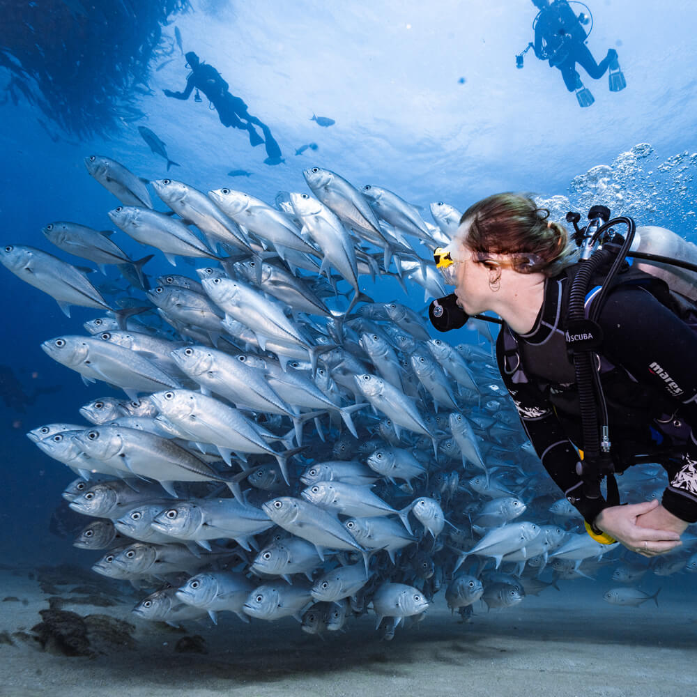 Hidden Ocean Gems Every Traveler Should Discover