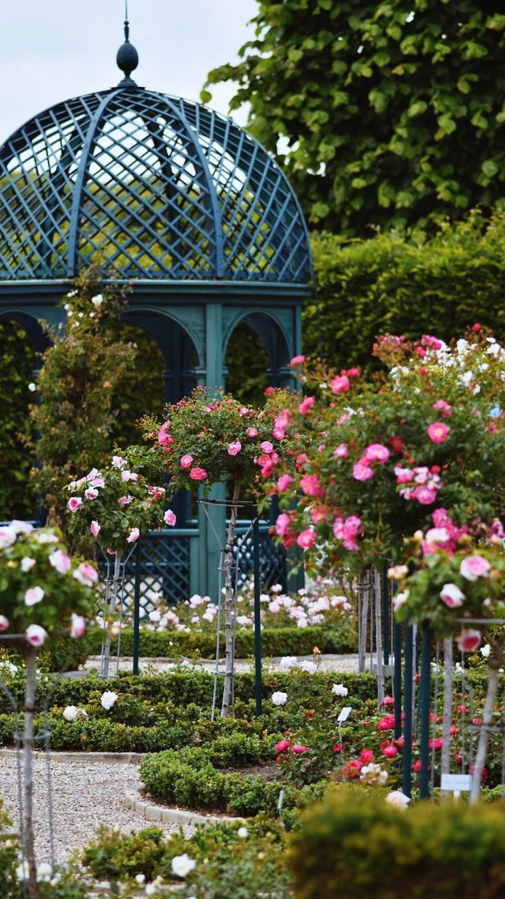 rose-garden-2026-01-07-05-19-17-utc (1)