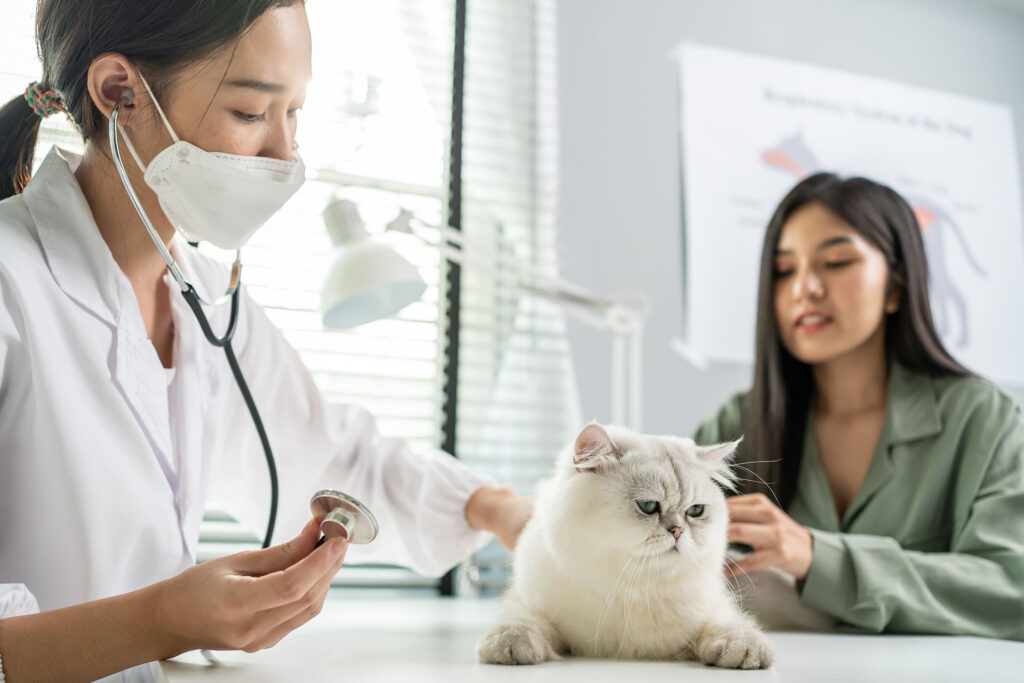 Vaccines For Pets