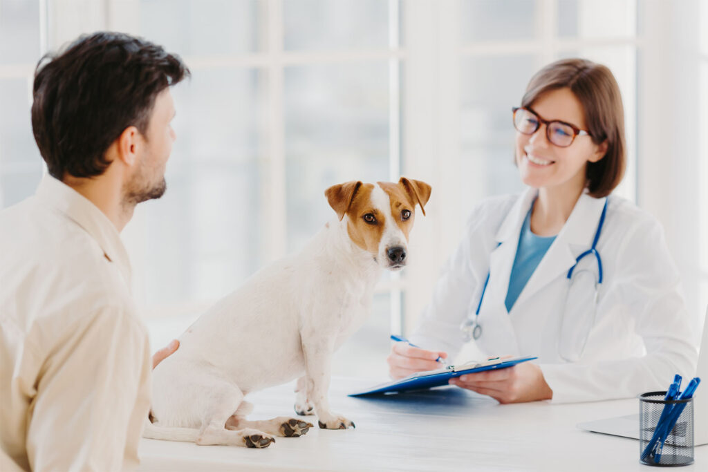 Pet Shampoo Recommendations
